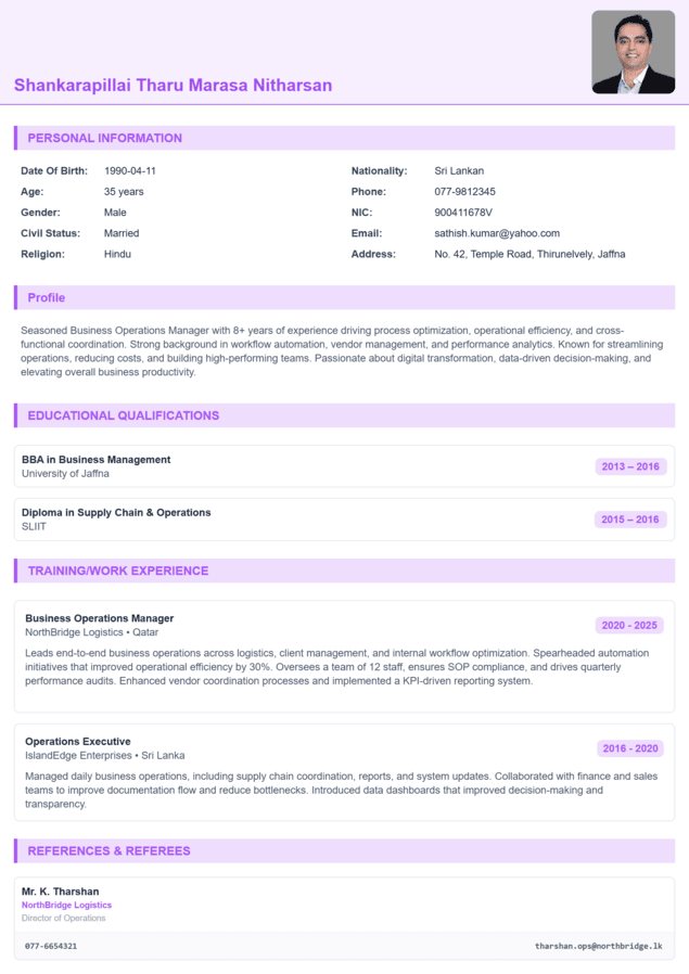 CV template preview 2